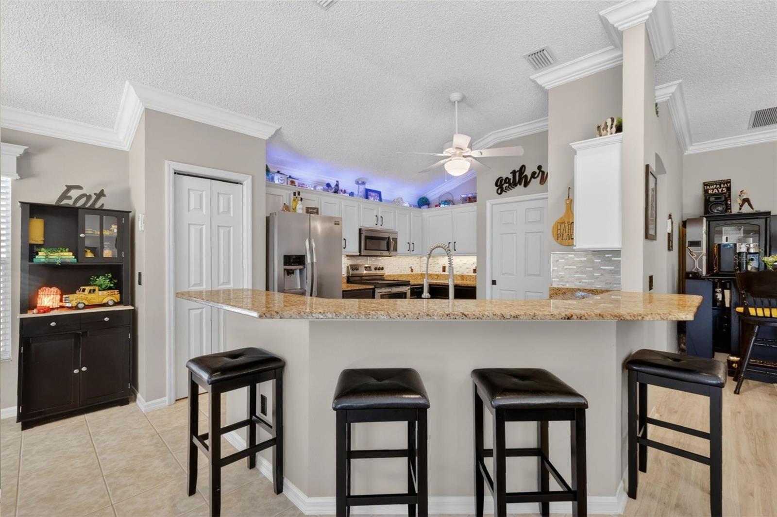 2160 MADERO DR, THE VILLAGES, FL, 32159