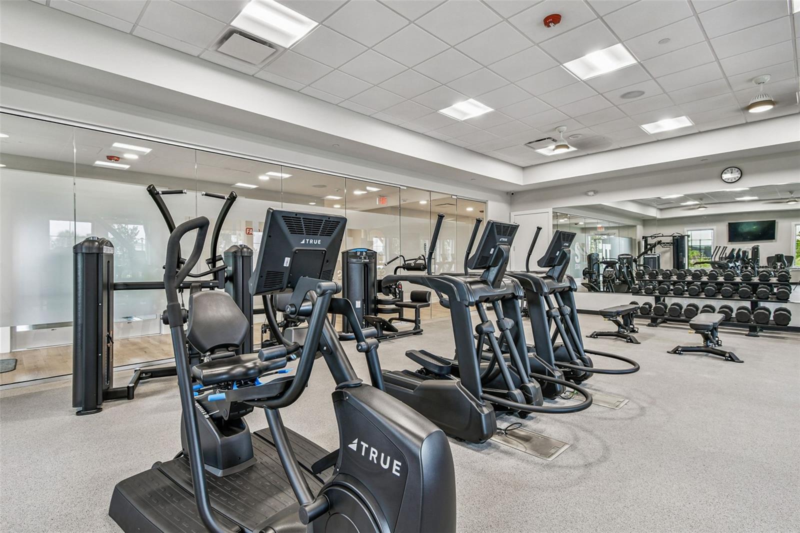 17817 PASTURELAND AVE, LAKEWOOD RANCH, FL, 34211