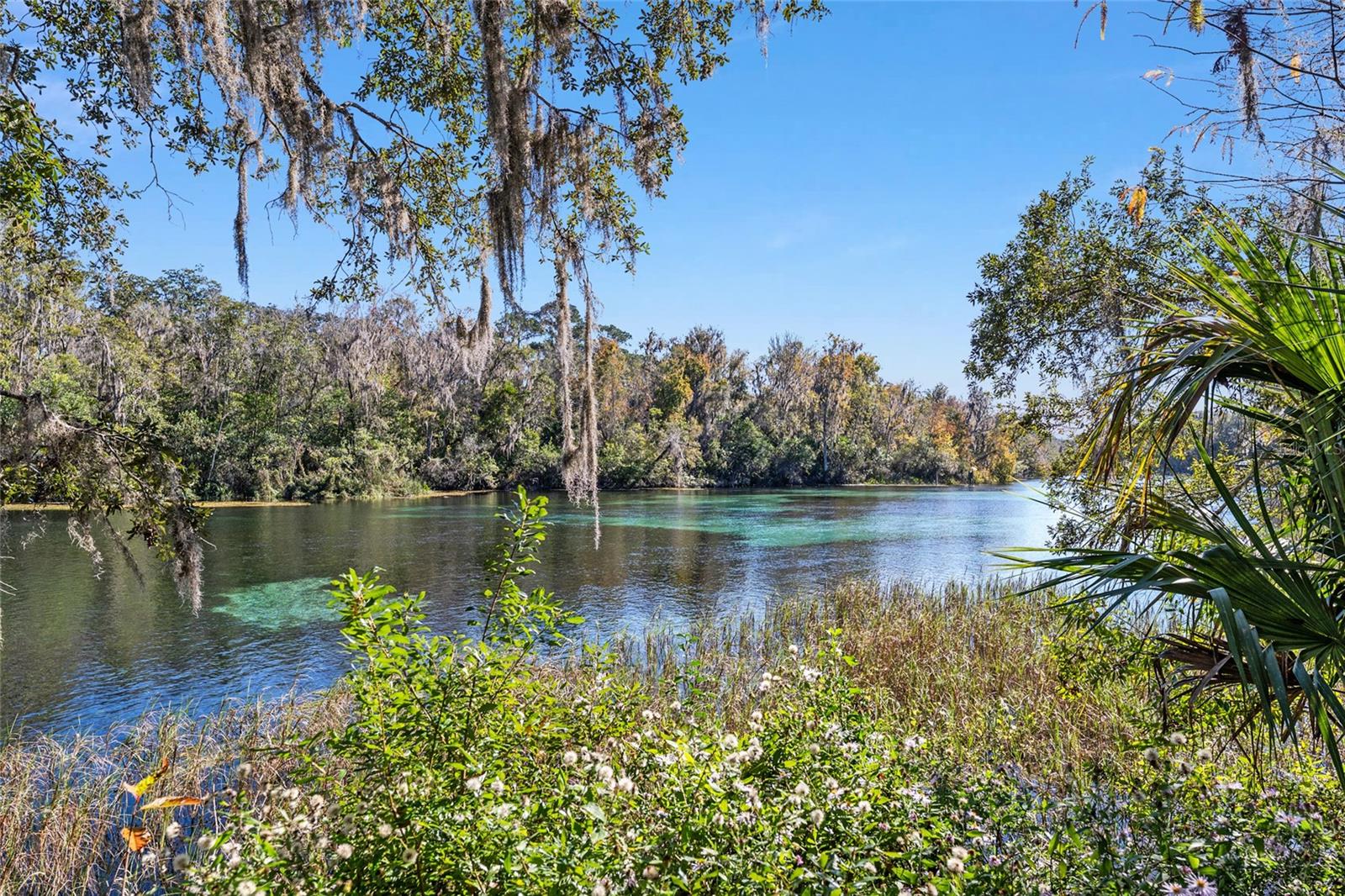20760 SW 90TH LOOP, DUNNELLON, FL, 34431