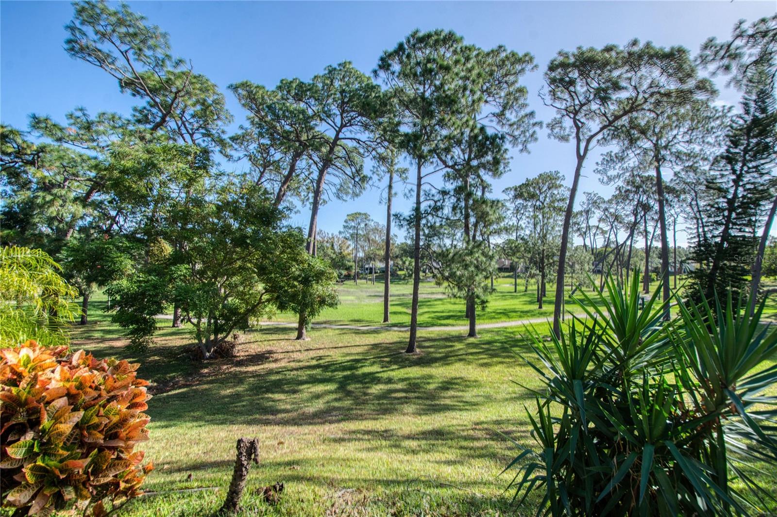 2617 BENTLEY DR, PALM HARBOR, FL, 34684