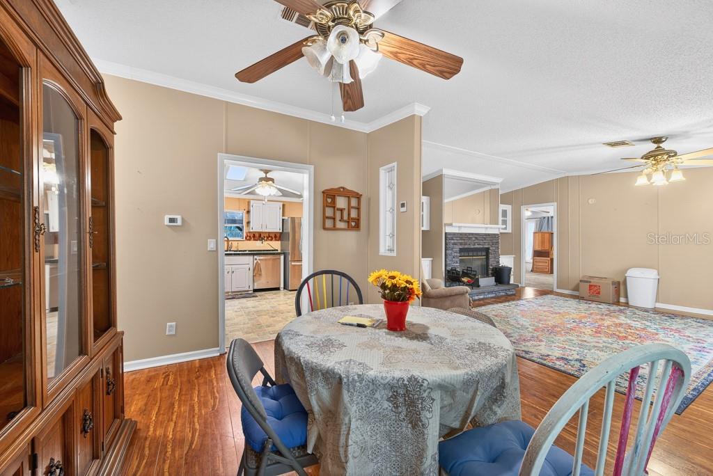 11809 DUNWOODIE MANOR DR, THONOTOSASSA, FL, 33592