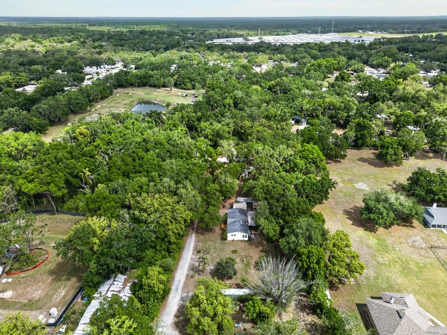 11809 DUNWOODIE MANOR DR, THONOTOSASSA, FL, 33592