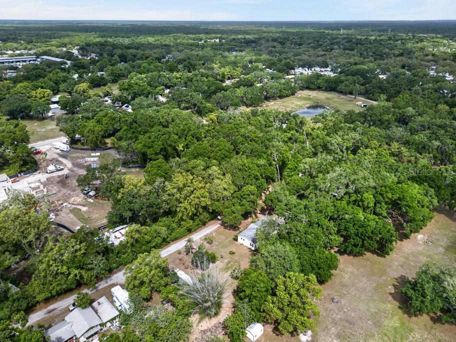 11809 DUNWOODIE MANOR DR, THONOTOSASSA, FL, 33592