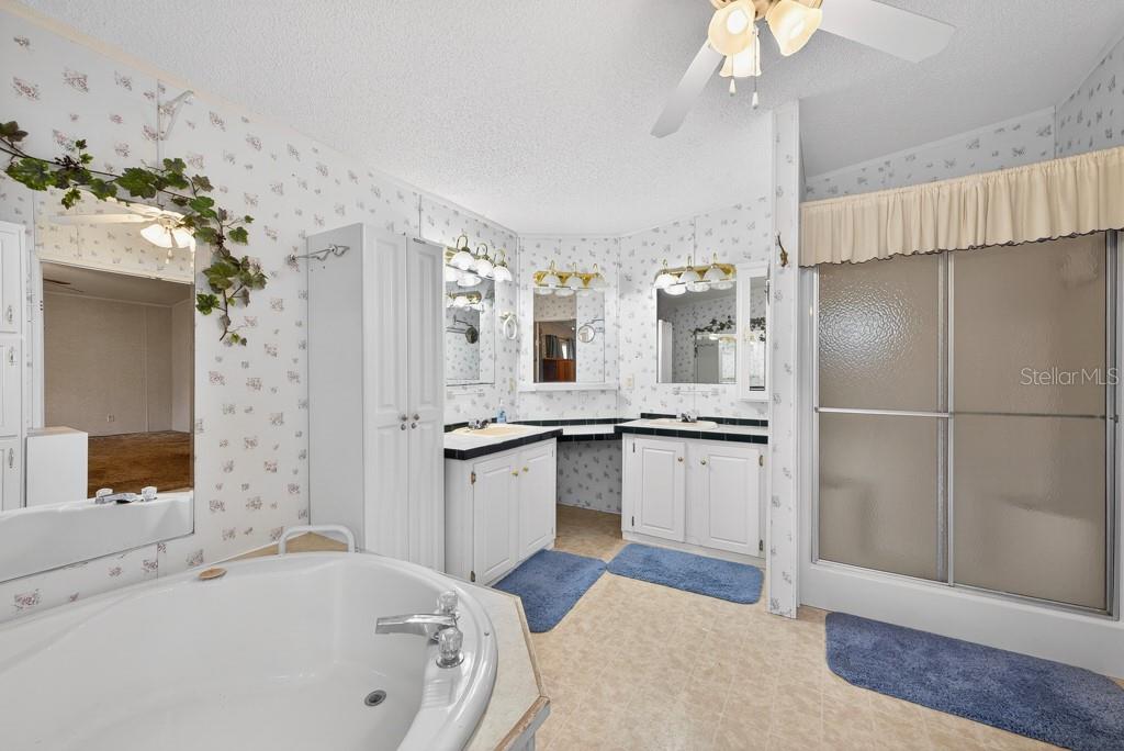 11809 DUNWOODIE MANOR DR, THONOTOSASSA, FL, 33592