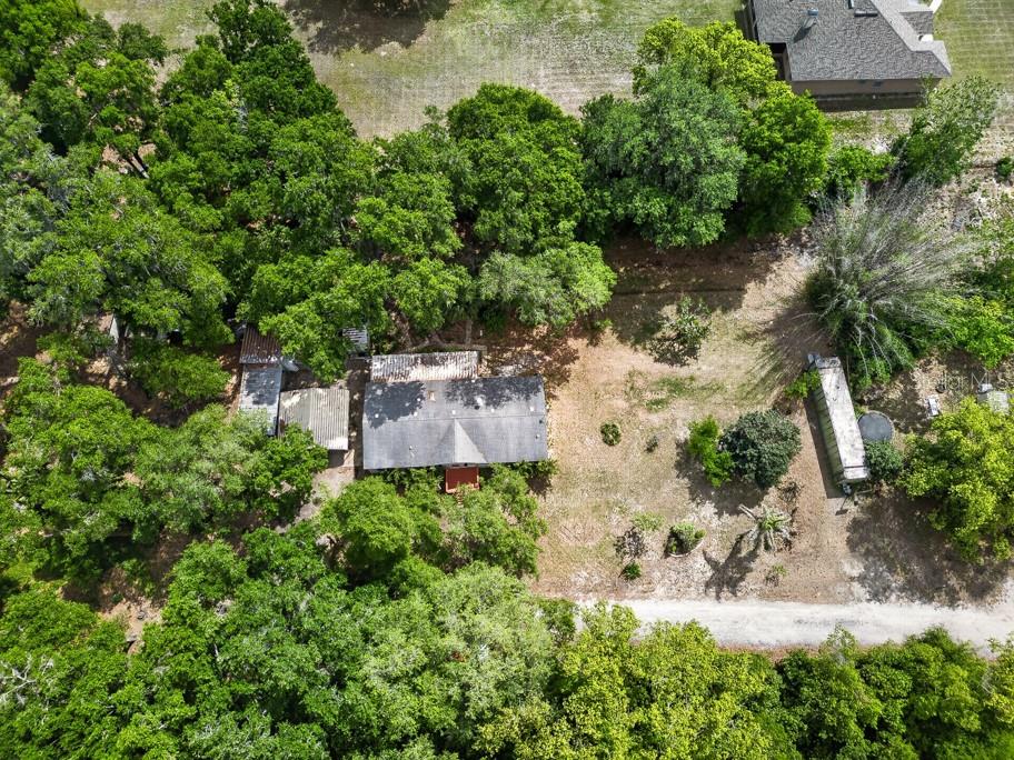 11809 DUNWOODIE MANOR DR, THONOTOSASSA, FL, 33592