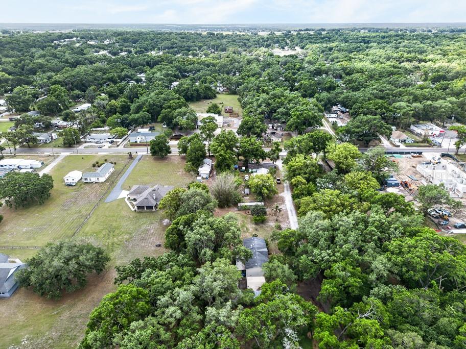 11809 DUNWOODIE MANOR DR, THONOTOSASSA, FL, 33592