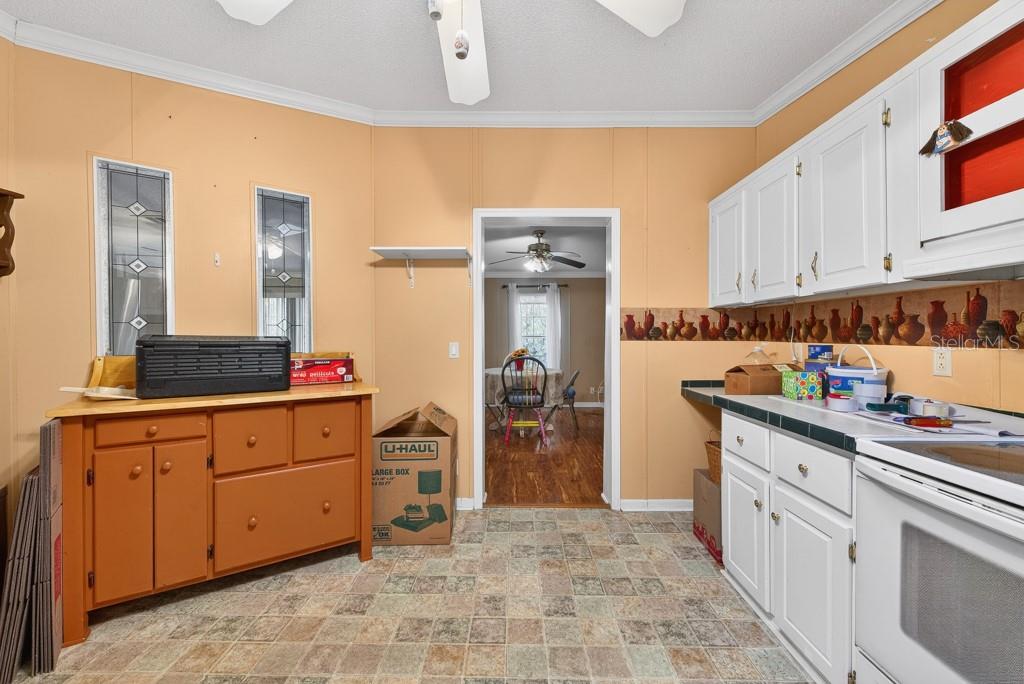 11809 DUNWOODIE MANOR DR, THONOTOSASSA, FL, 33592