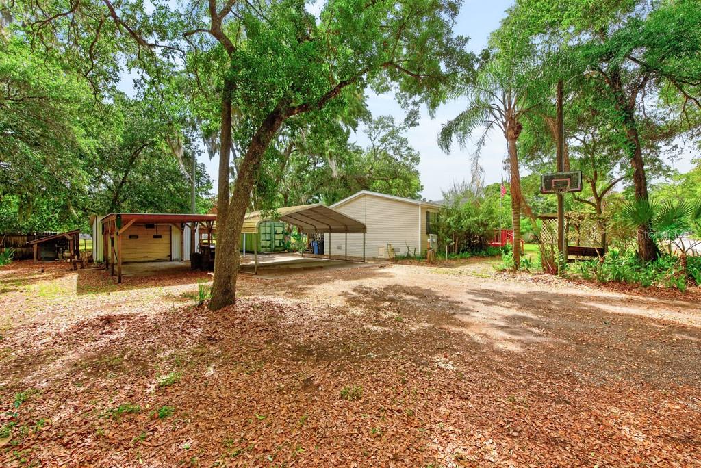 11809 DUNWOODIE MANOR DR, THONOTOSASSA, FL, 33592