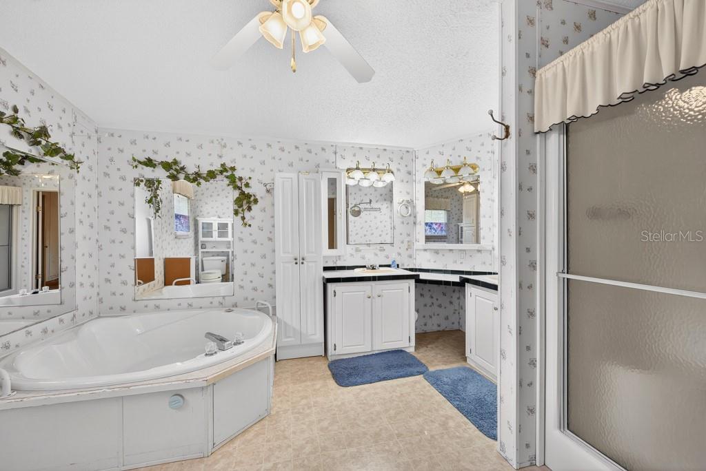 11809 DUNWOODIE MANOR DR, THONOTOSASSA, FL, 33592