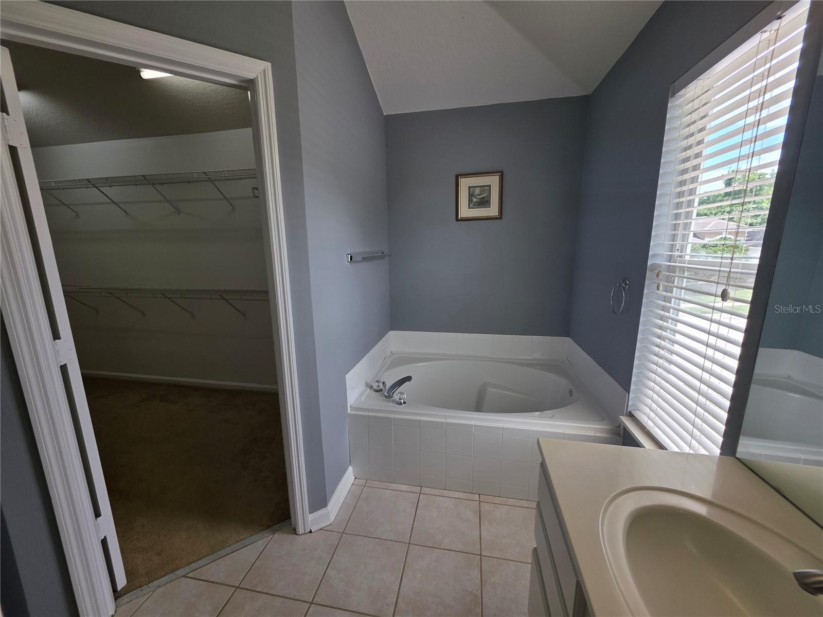 289 HANGING MOSS CIR, LAKE MARY, FL, 32746