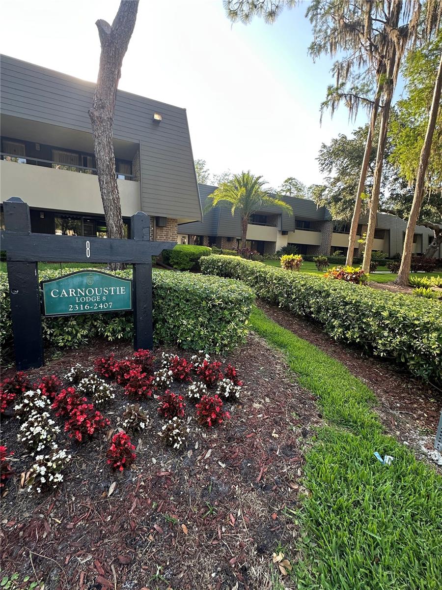 36750 US HIGHWAY 19 N #3-115, PALM HARBOR, FL, 34683