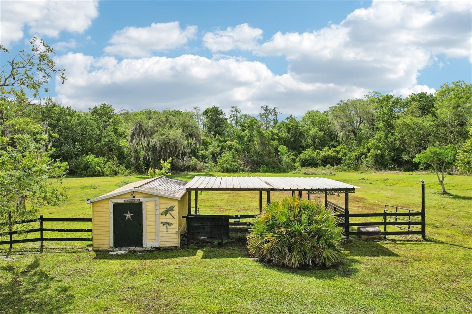 3954 MCCLELLAND RD, ST CLOUD, FL, 34772