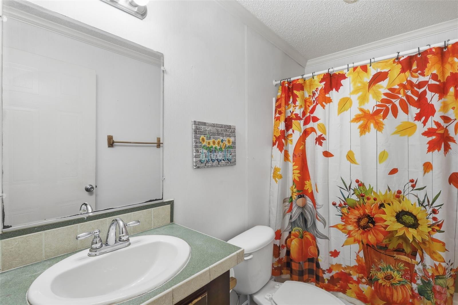 8798 SW 66TH AVE, OCALA, FL, 34476