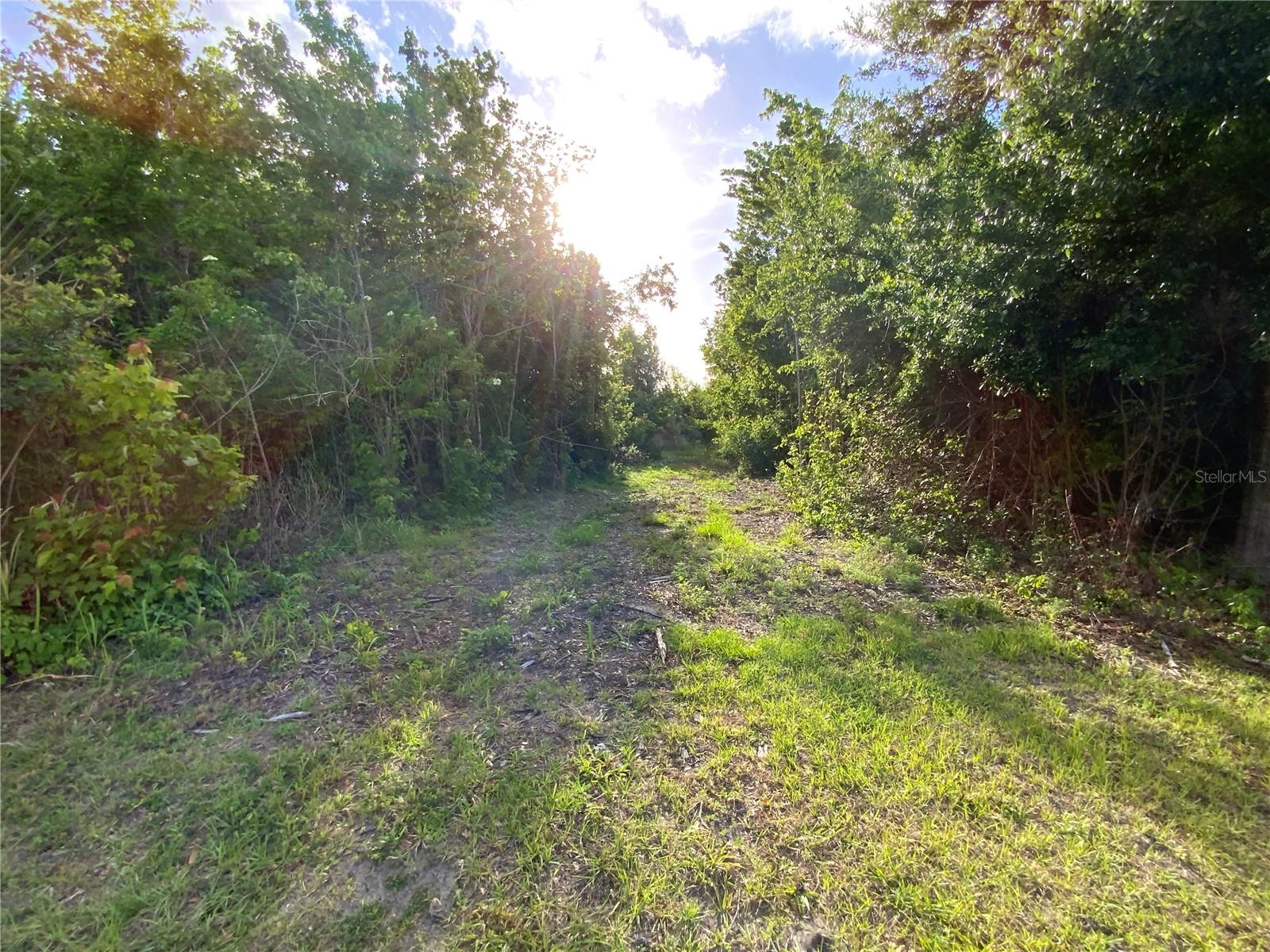 692 HOWARD RD, AUBURNDALE, FL, 33823