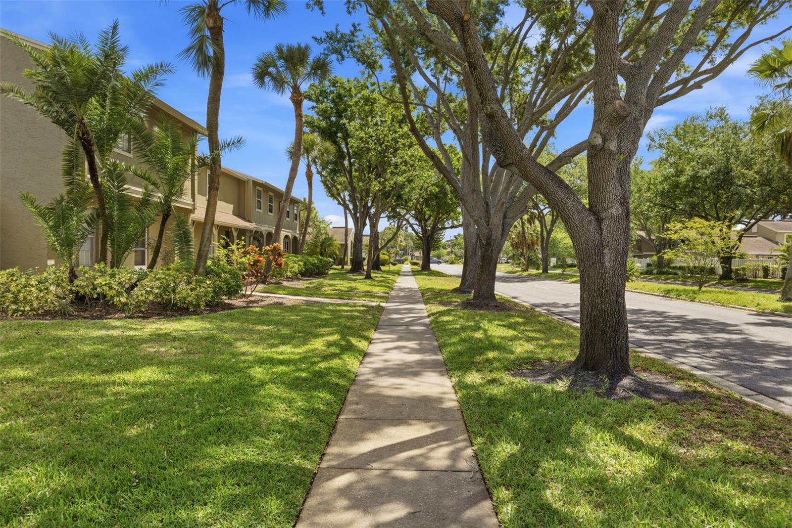 7103 CORONADO CT, TAMPA, FL, 33615