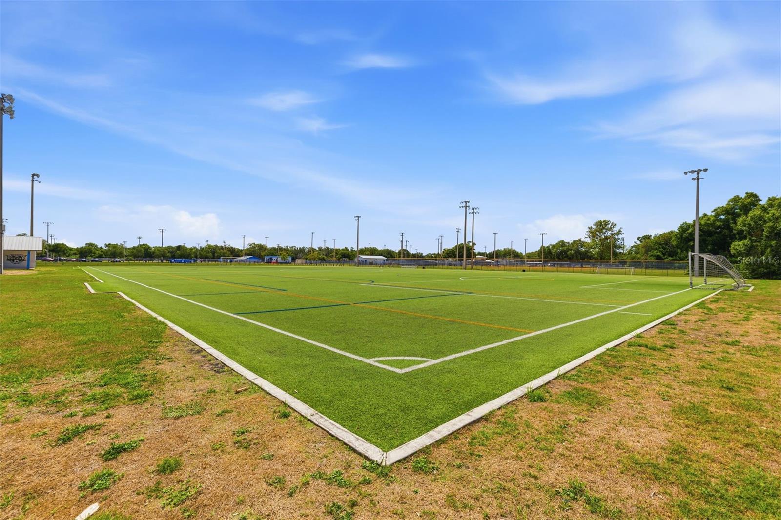 7103 CORONADO CT, TAMPA, FL, 33615