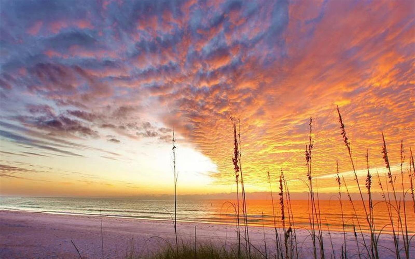 404 S POLK DR, SARASOTA, FL, 34236