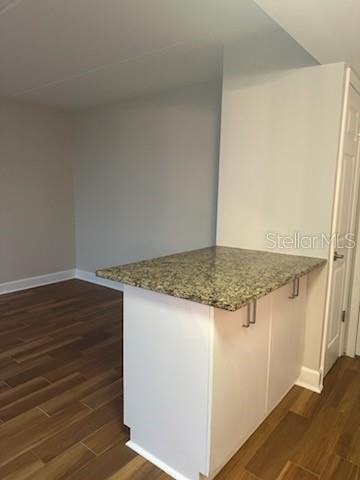 3325 BAYSHORE BLVD #1, TAMPA, FL, 33629