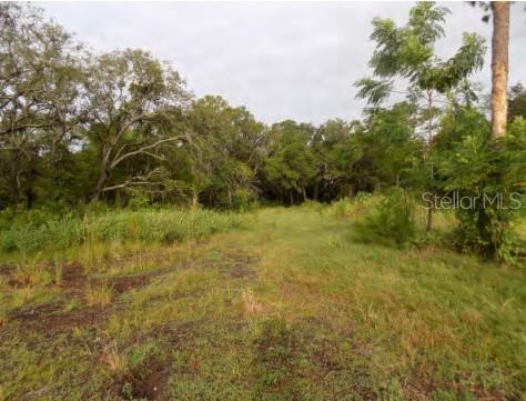 5001 WHIPPOORWILL DR, HOLIDAY, FL, 34690