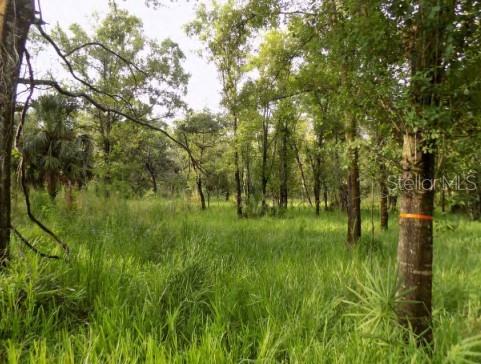 5001 WHIPPOORWILL DR, HOLIDAY, FL, 34690