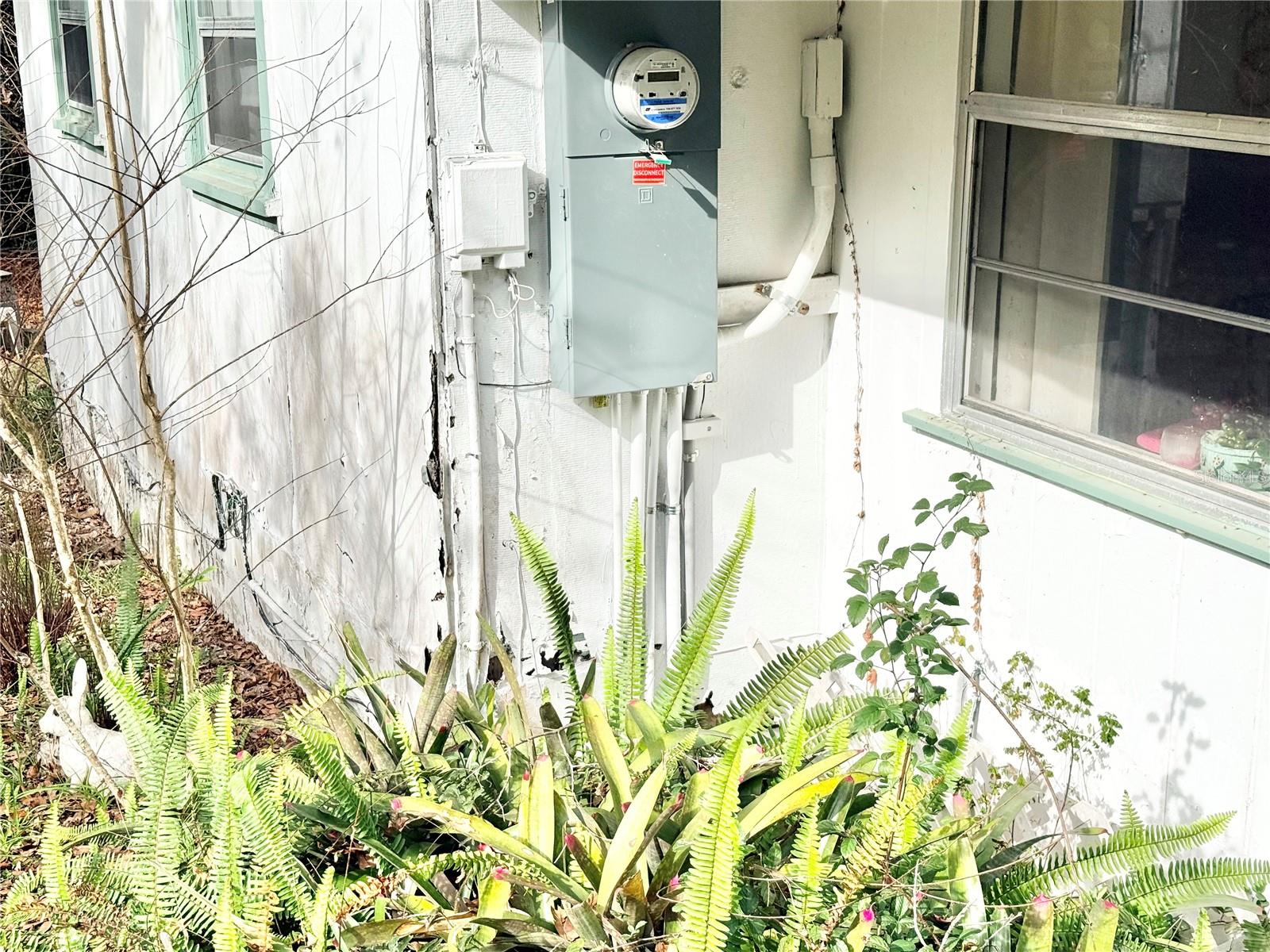 20800 NE 146TH TER, FORT MC COY, FL, 32134