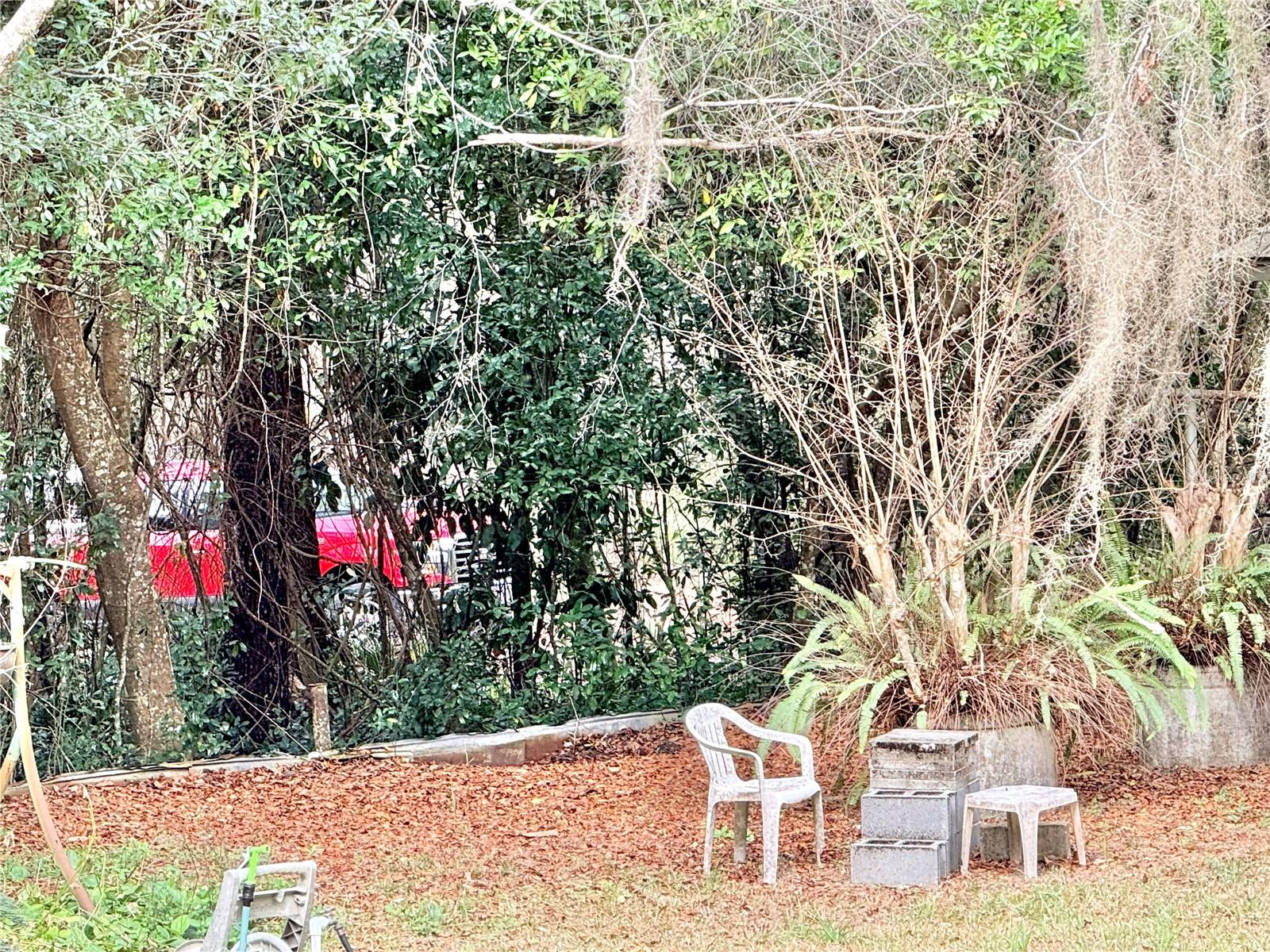 20800 NE 146TH TER, FORT MC COY, FL, 32134