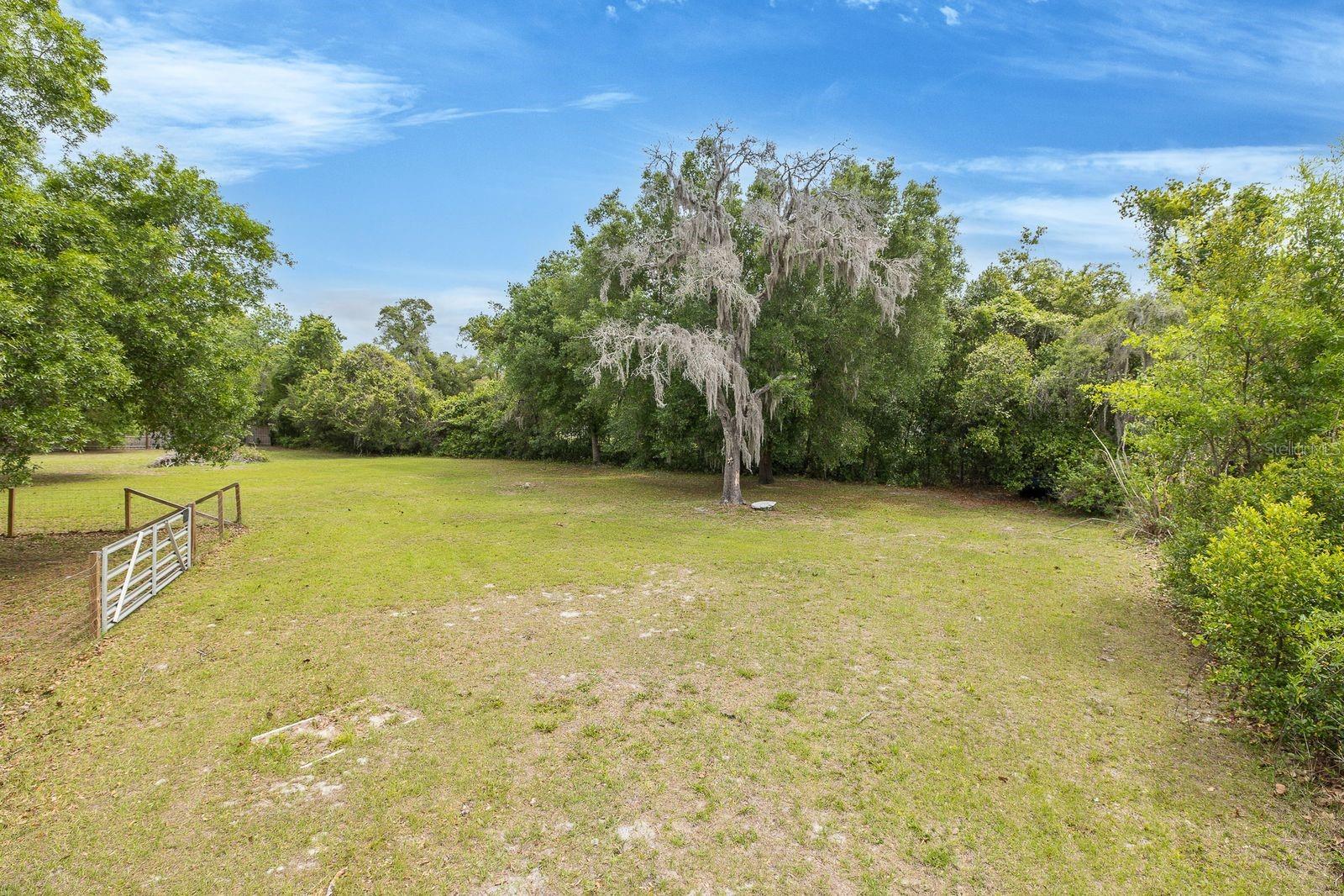 12600 CANTON AVE, HUDSON, FL, 34669