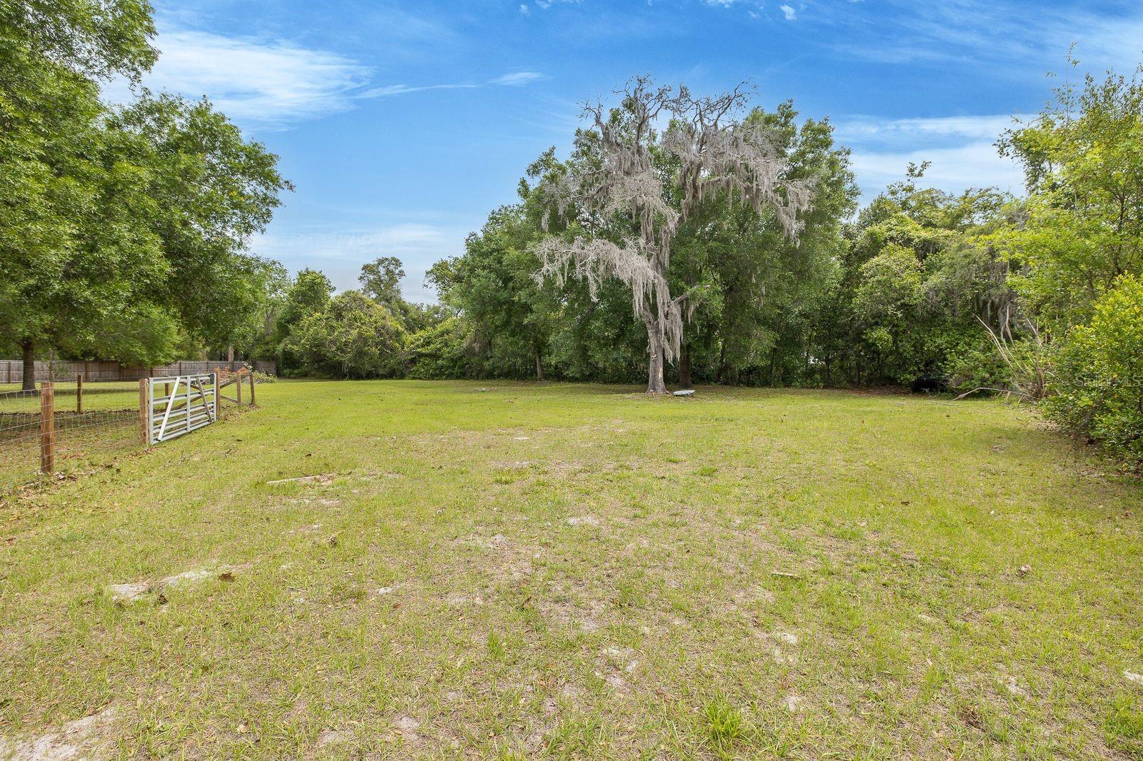 12600 CANTON AVE, HUDSON, FL, 34669