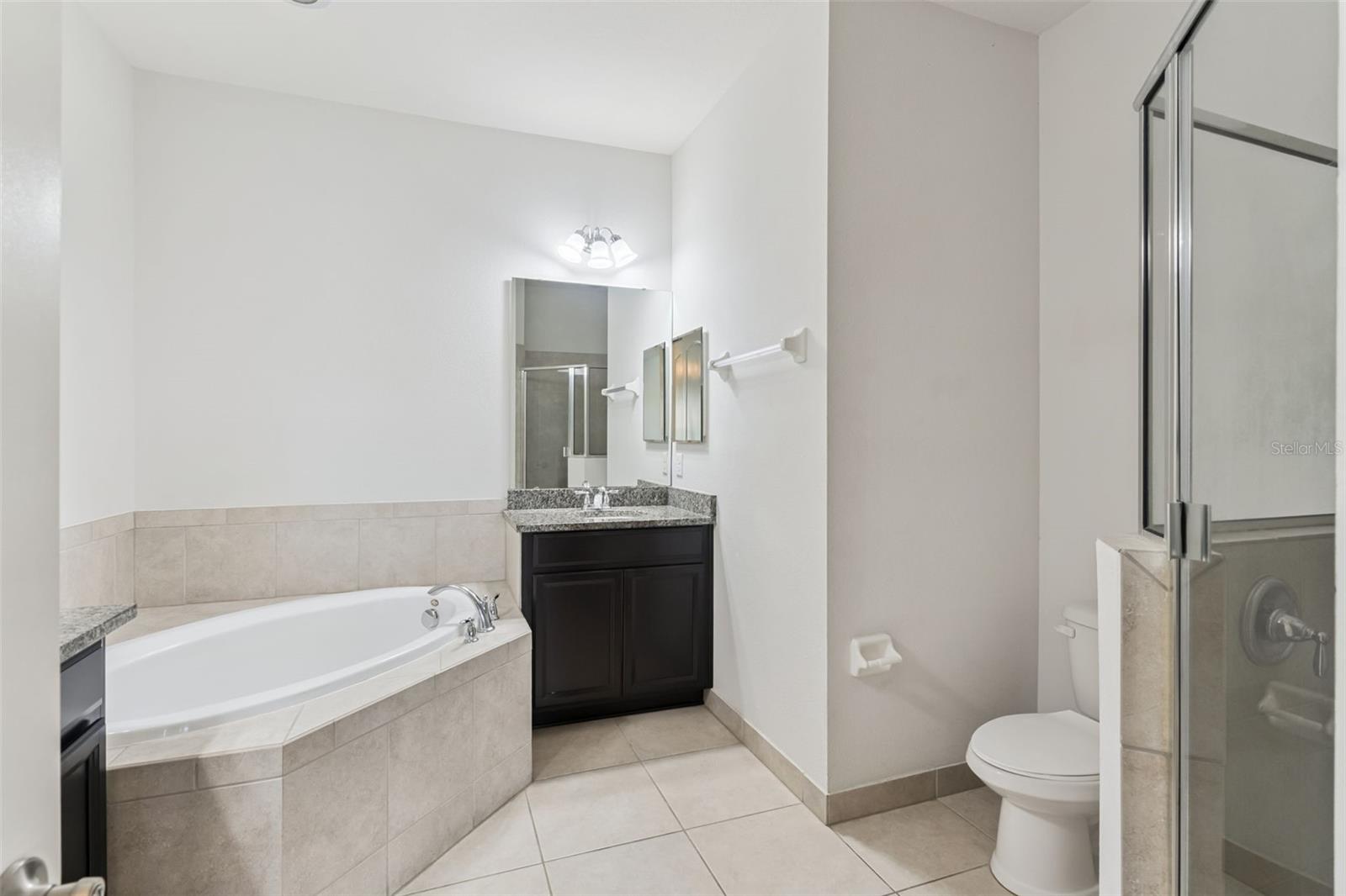 10738 BELFRY CIR, ORLANDO, FL, 32832