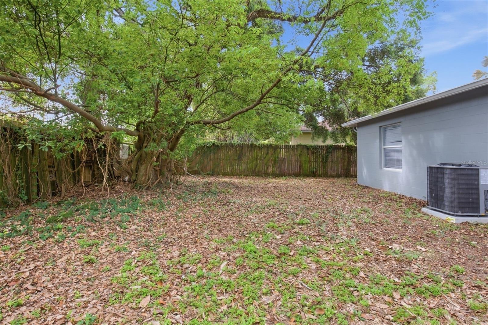 8309 N 12TH ST, TAMPA, FL, 33604