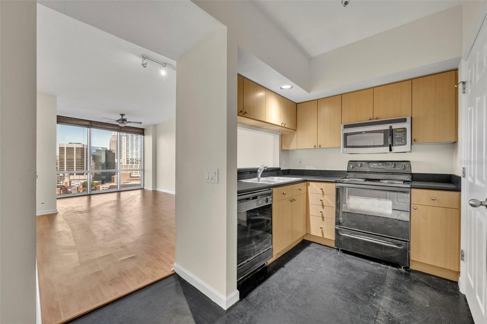 322 E CENTRAL BLVD #1708, ORLANDO, FL, 32801