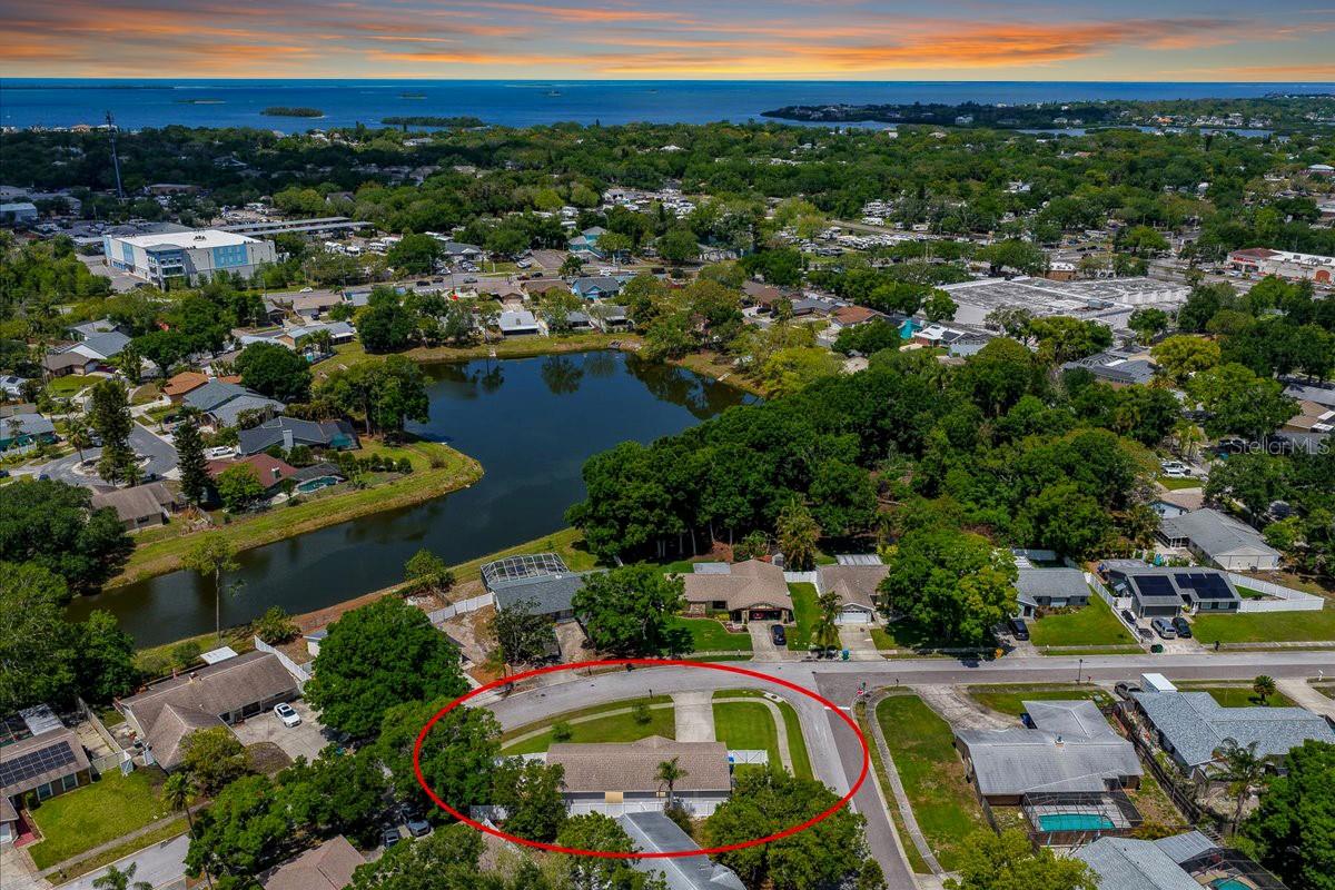 300 SWEETGUM CT, PALM HARBOR, FL, 34683