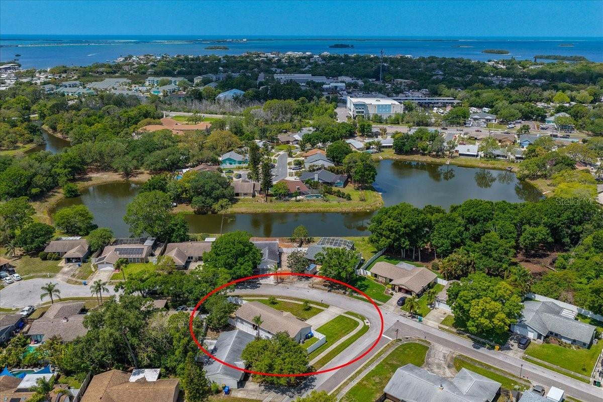 300 SWEETGUM CT, PALM HARBOR, FL, 34683