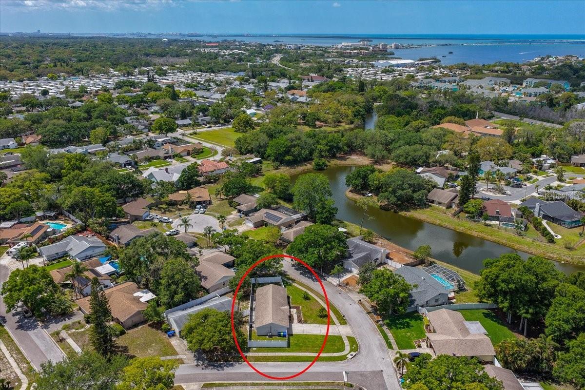 300 SWEETGUM CT, PALM HARBOR, FL, 34683