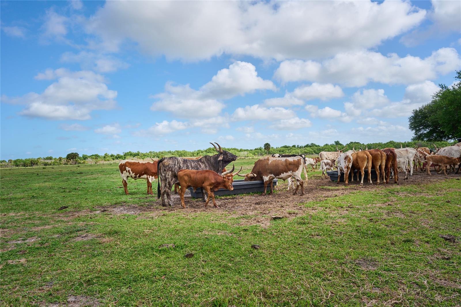 3200 RIVER RANCH BLVD #160, RIVER RANCH, FL, 33867