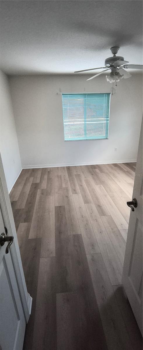 2959 LOBELIA RD, VENICE, FL, 34293