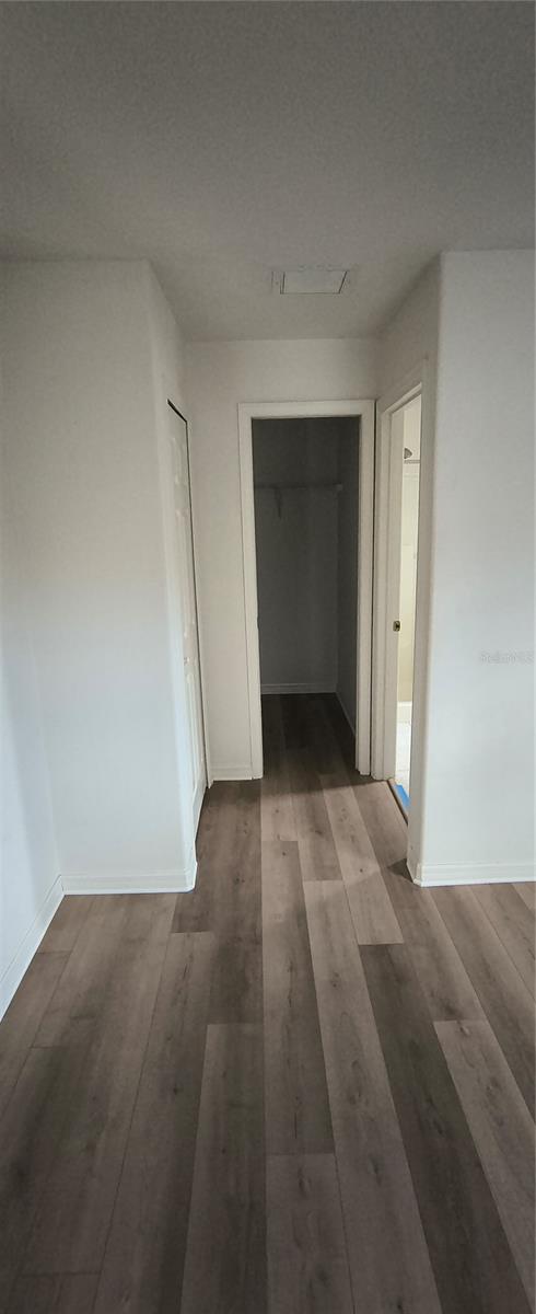 2959 LOBELIA RD, VENICE, FL, 34293