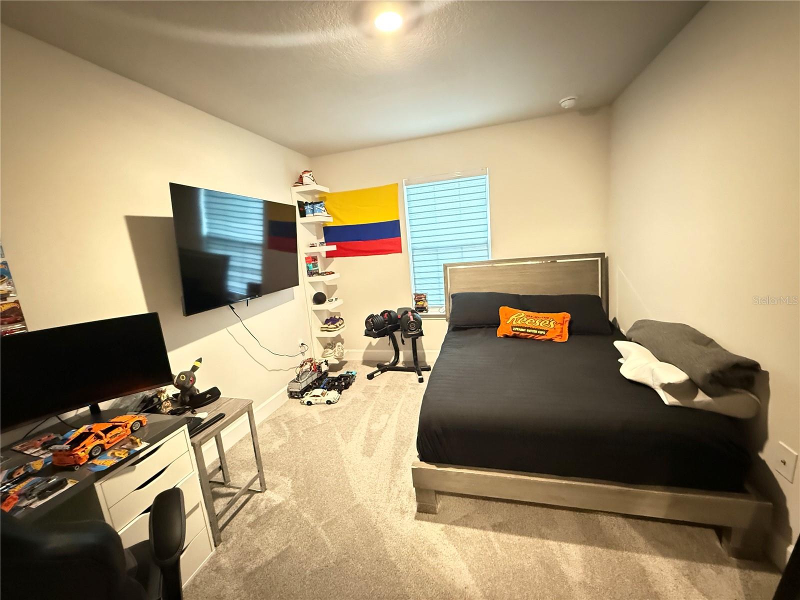 36169 TRINITY GLADE RD, DADE CITY, FL, 33525