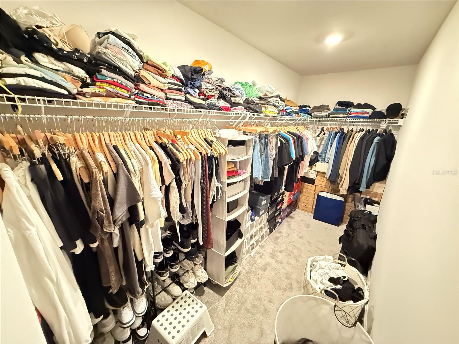 36169 TRINITY GLADE RD, DADE CITY, FL, 33525