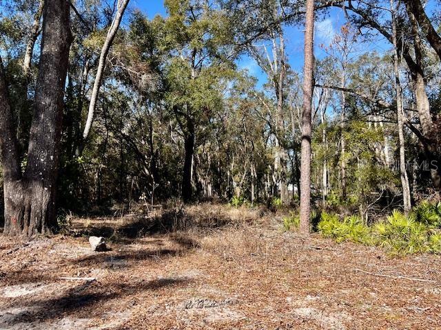 498 NE 970 AVE, BRANFORD, FL, 32008