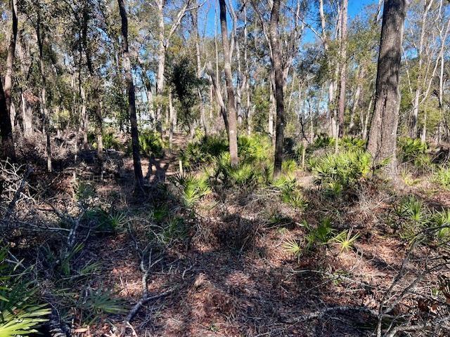 498 NE 970 AVE, BRANFORD, FL, 32008