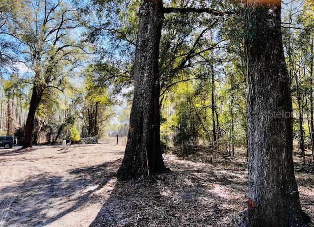 498 NE 970 AVE, BRANFORD, FL, 32008