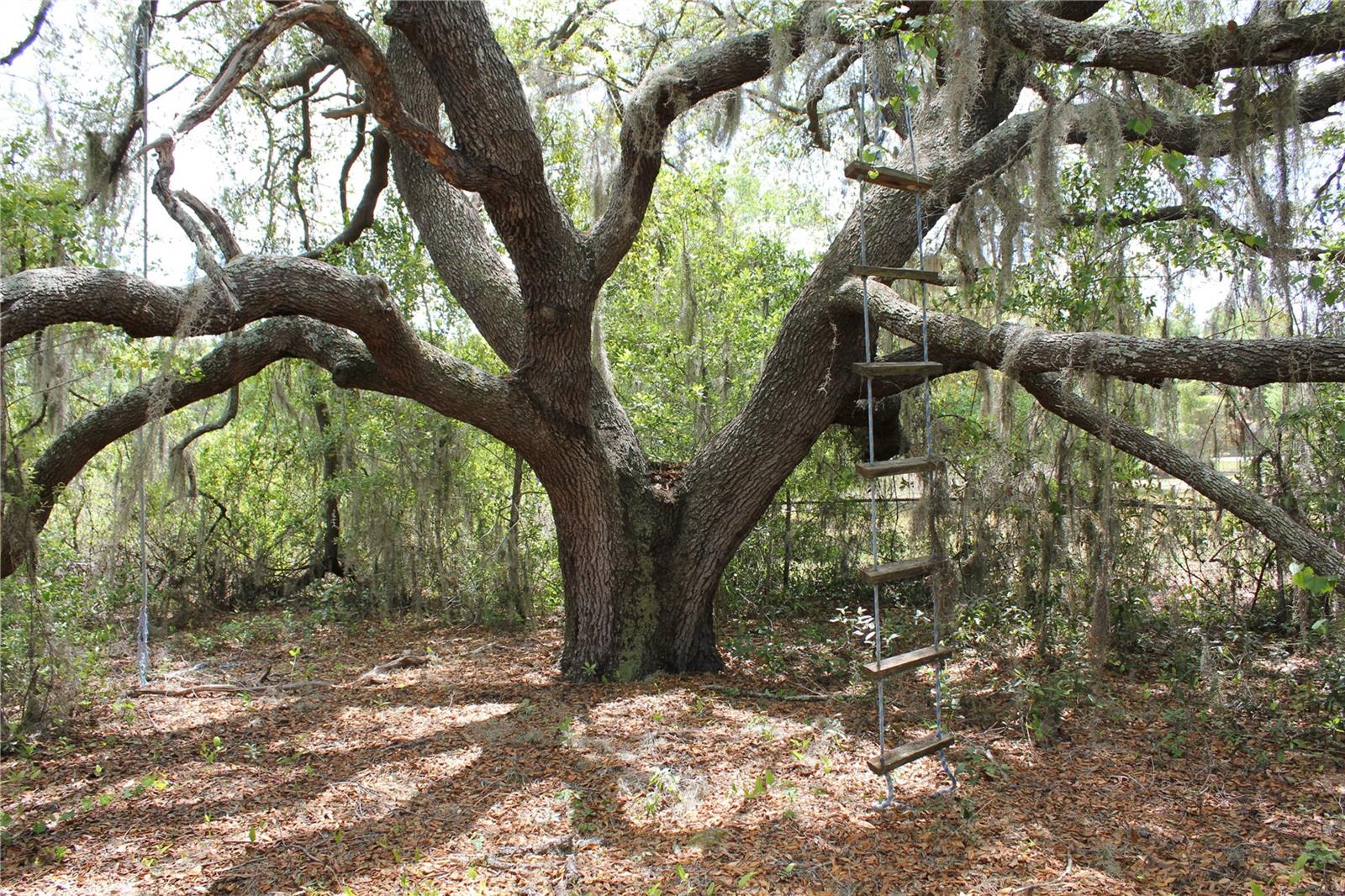 8225 WAKEFORD RD, LAKE WALES, FL, 33898