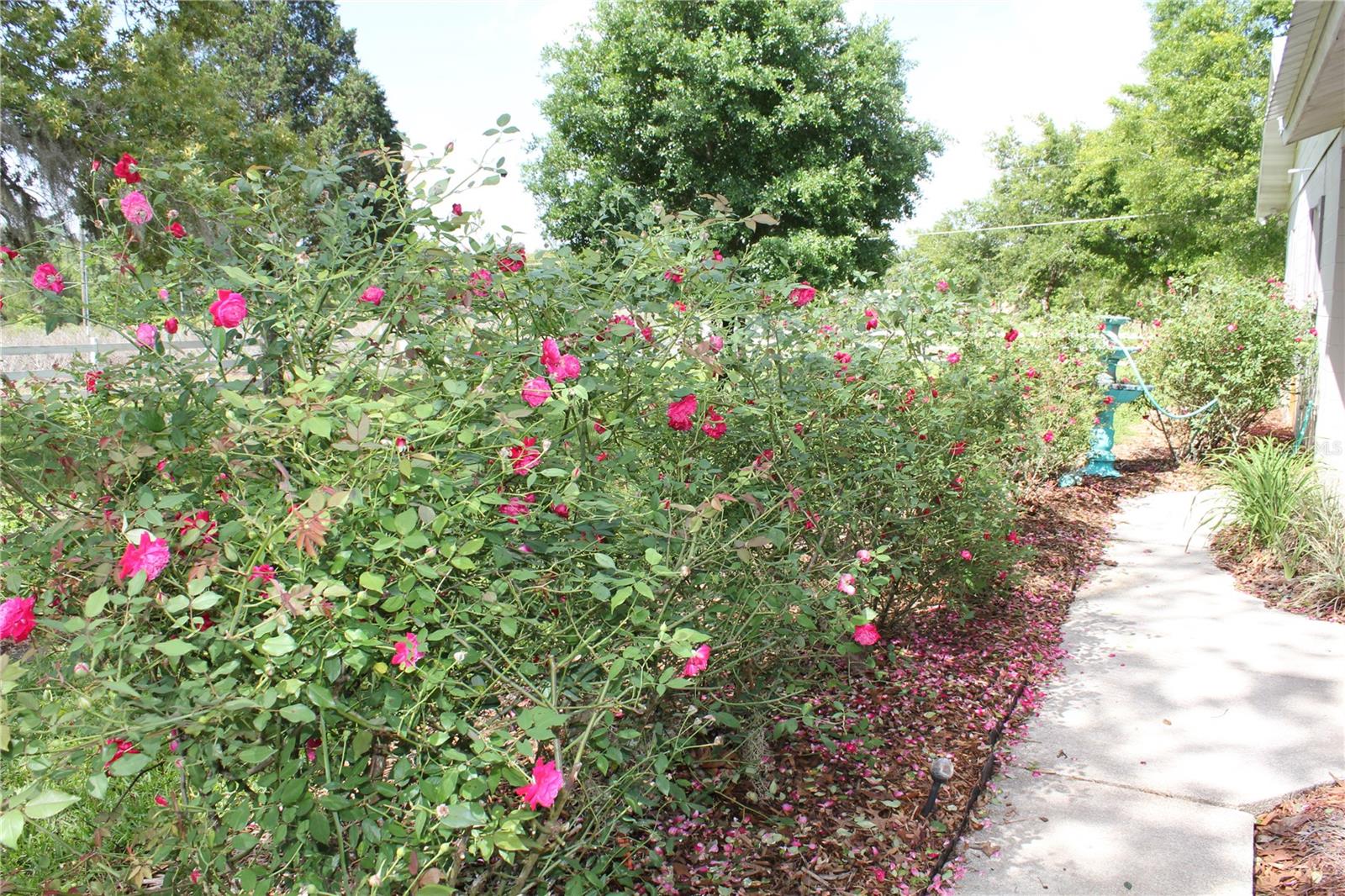 8225 WAKEFORD RD, LAKE WALES, FL, 33898