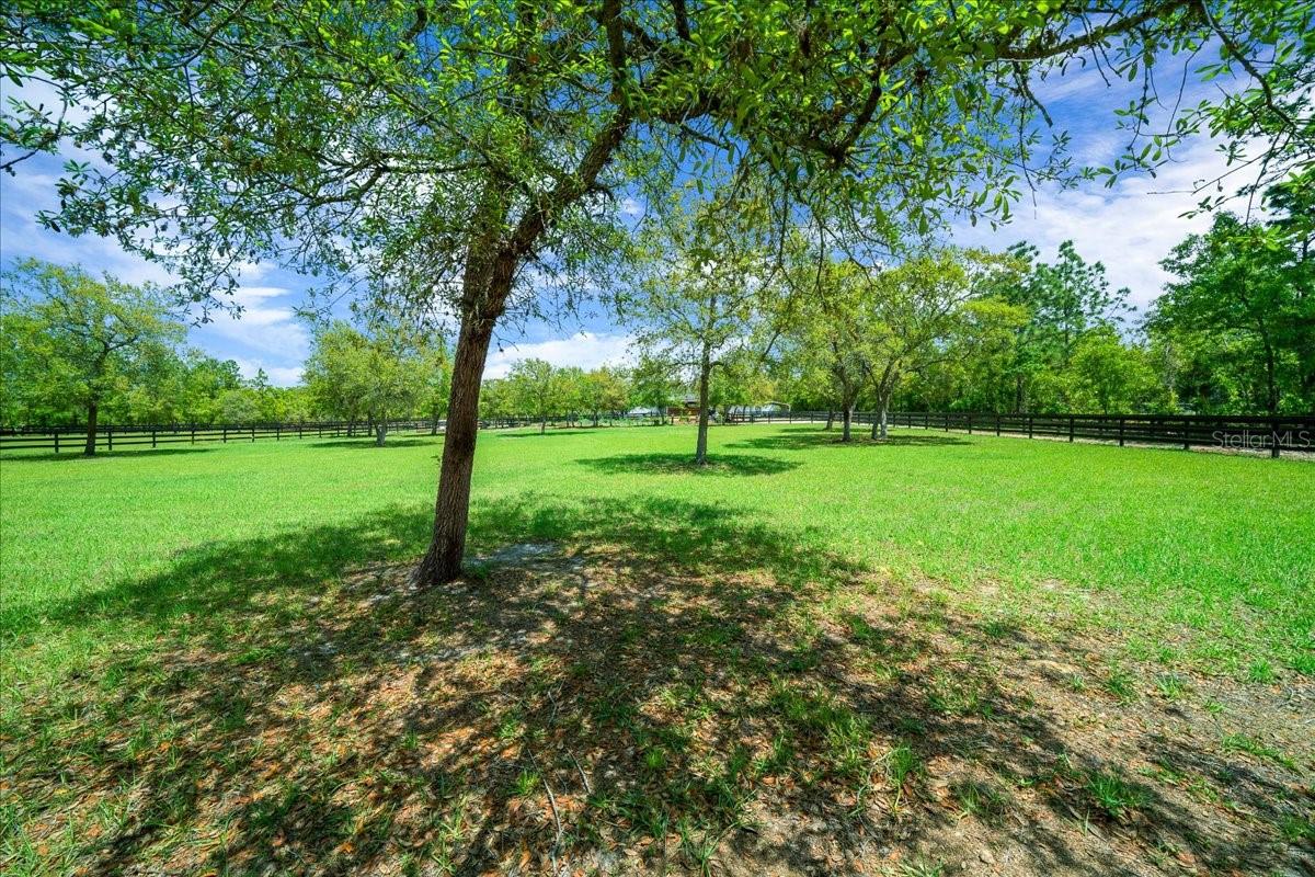 5400 W YEARLING DR, BEVERLY HILLS, FL, 34465