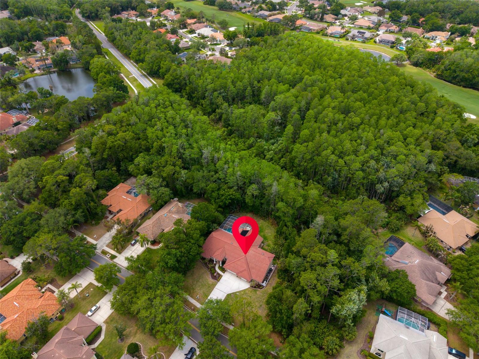 1404 EAST LAKE WOODLANDS PKWY, OLDSMAR, FL, 34677
