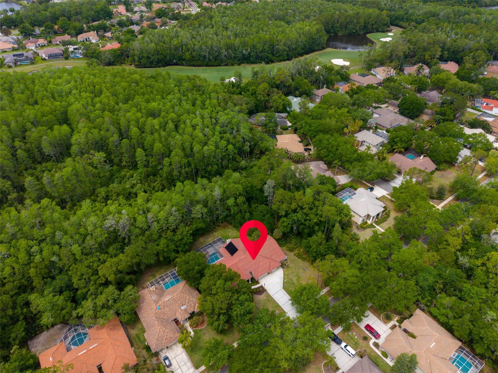 1404 EAST LAKE WOODLANDS PKWY, OLDSMAR, FL, 34677