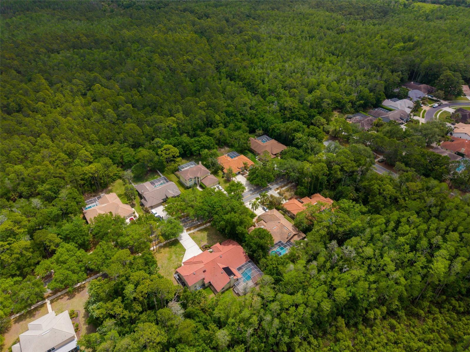 1404 EAST LAKE WOODLANDS PKWY, OLDSMAR, FL, 34677