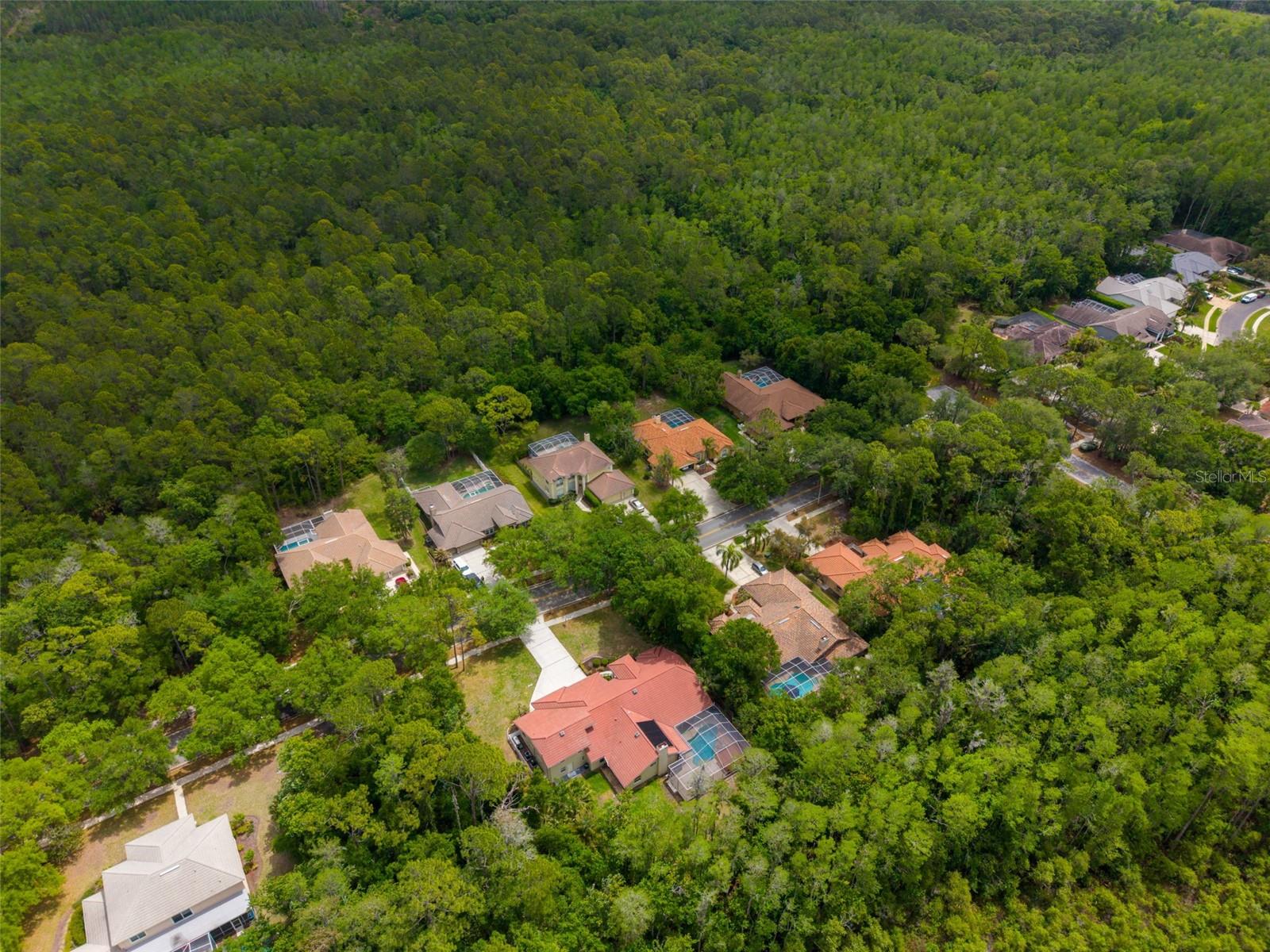 1404 EAST LAKE WOODLANDS PKWY, OLDSMAR, FL, 34677