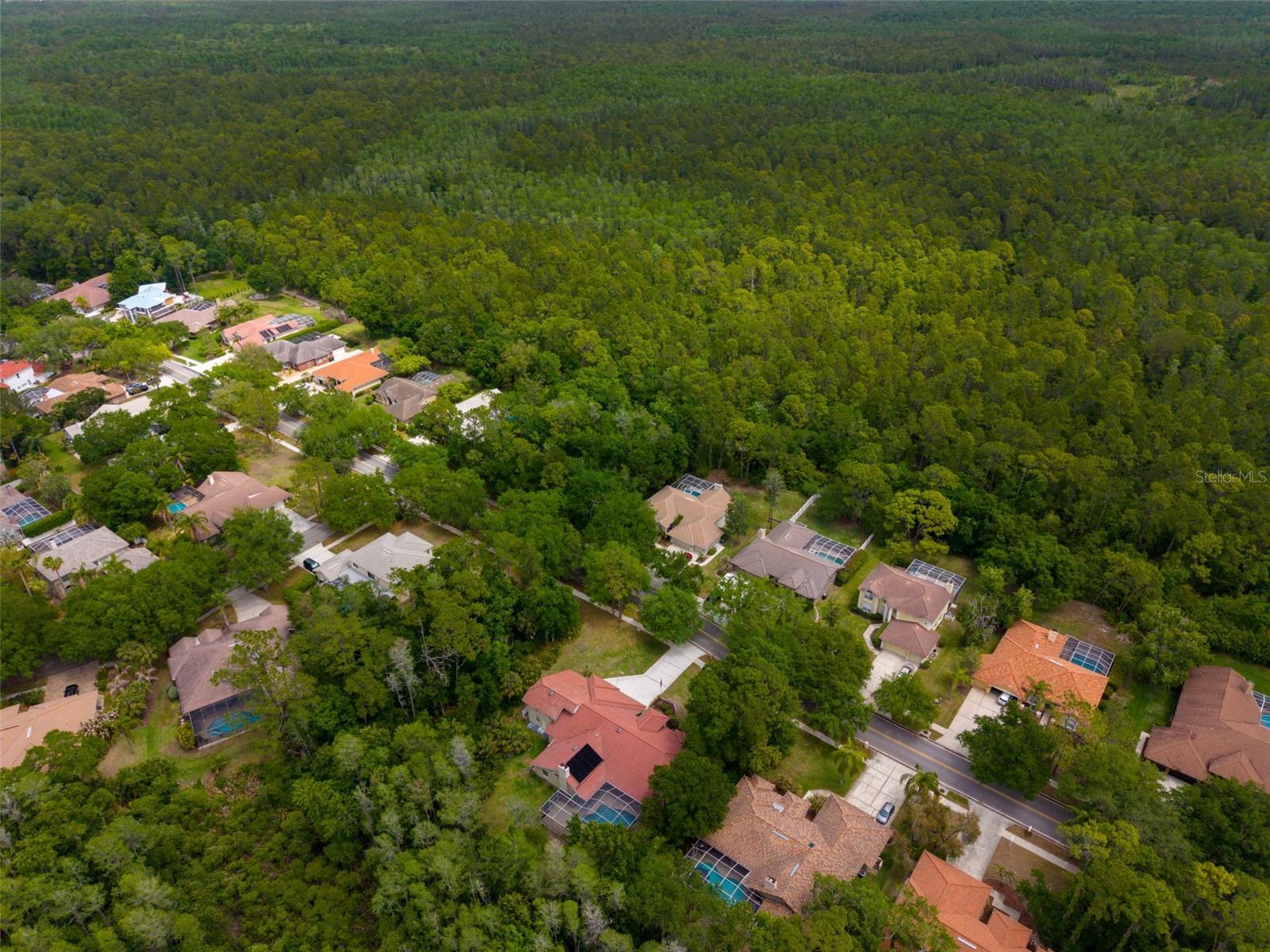 1404 EAST LAKE WOODLANDS PKWY, OLDSMAR, FL, 34677